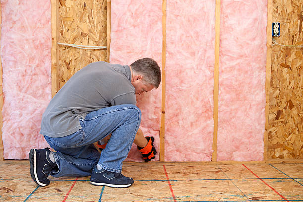 Types of Insulation We Offer in Newport, KY